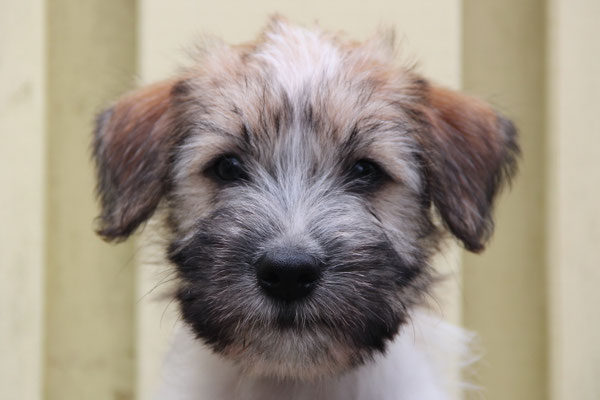 Bente von der Mühlenbek