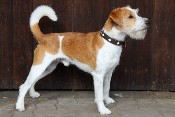 Fjonn von den Streeken