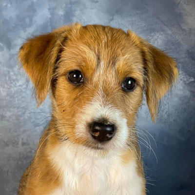 Flow von den Streeken