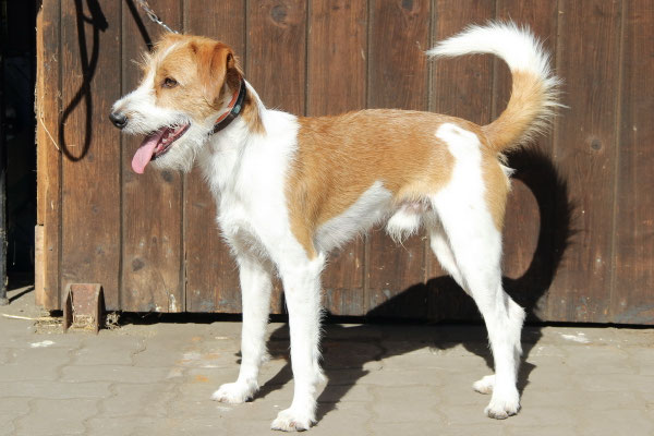 Fussel von den Streeken