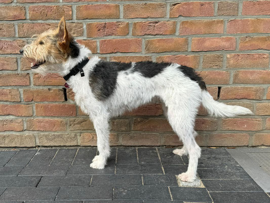 Bertha von der Kromikate