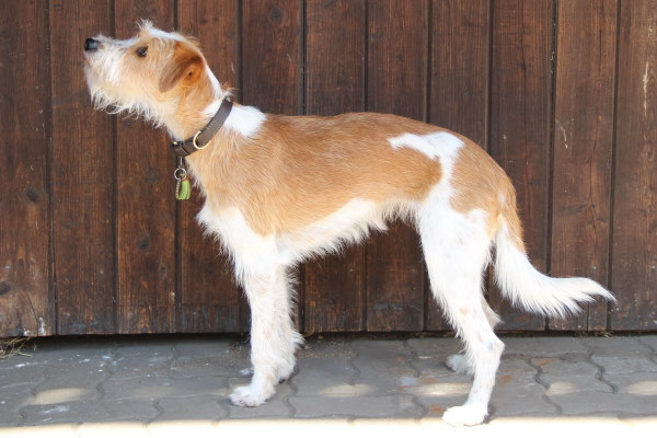 Fräulein Lisbeth von den Streeken