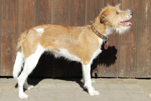 Flow von den Streeken