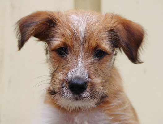 Bea von der Mühlenbek