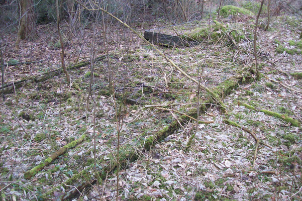 Rechter Zugang