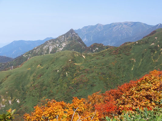 大源太山と紅葉