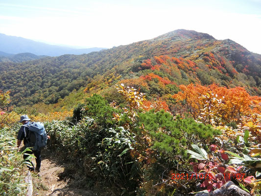 稜線の紅葉が始まった