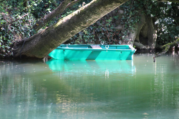 Au fil de l'eau Au fil des mots, Je suis serein, Sur 'mon Clain'.     DPOIRIER : photos et texte.