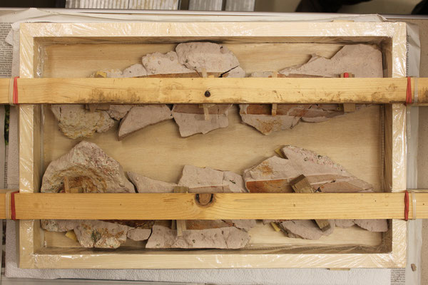Abbildung 10: Finale Lage des Fossils im Kasten. Das Fossil wurde so arrangiert, dass sich Abdruck und Gegendruck unverstellt gegenüberliegen und die Abstände zum Kastenrahmen weitestgehend gleich sind. 