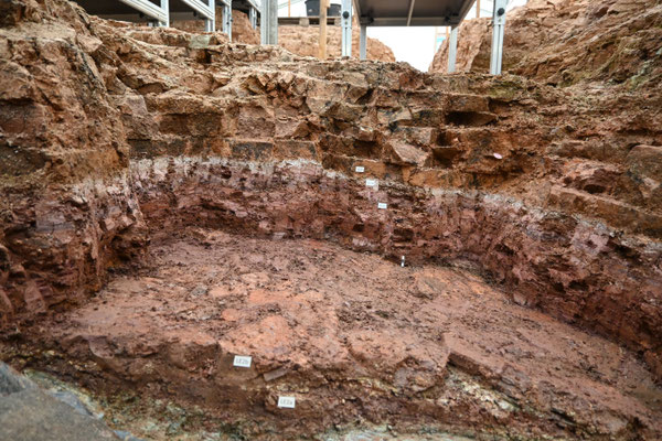 Grabungsfläche mit markierten Lithoeinheiten
