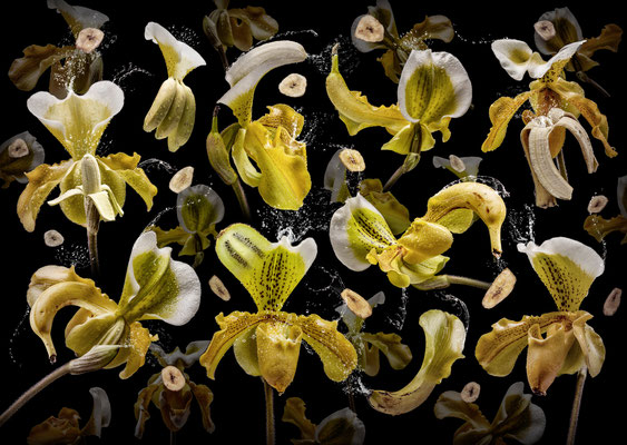 Banana orchidea · 200 x 140 cm · © Olaf Bruhn