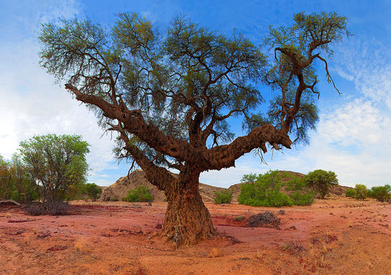 Namibia 2012 · Copyright by Olaf Bruhn