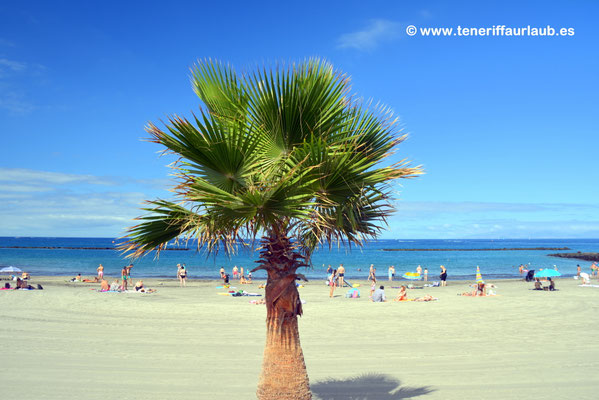 Playa Fanabe