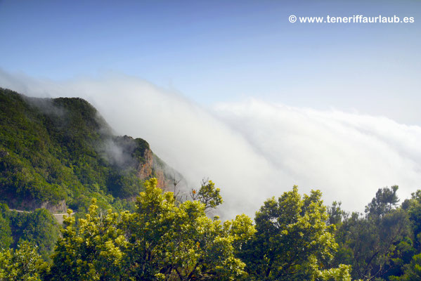 Mirador Pico del Ingles