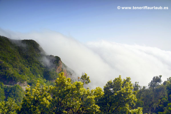 Mirador Pico del Ingles