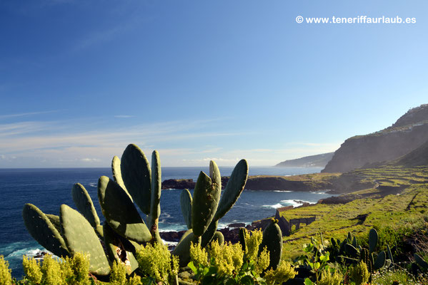 Costa El Sauzal