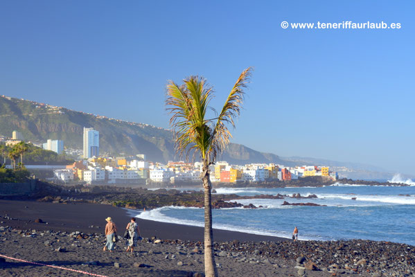 Playa Jardin