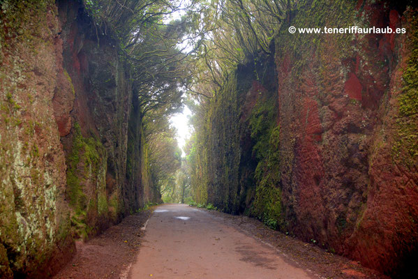 Anaga Gebirge - Mazico de Anaga