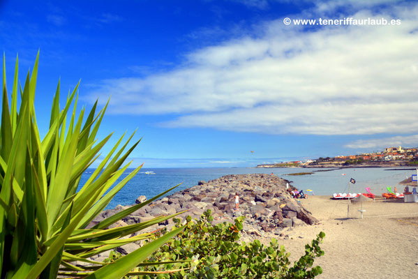 Playa de Torviscas