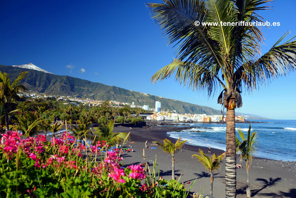 Playa Jardin 