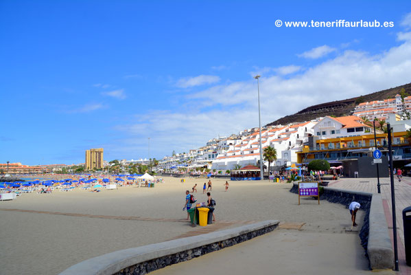Playa Torviscas