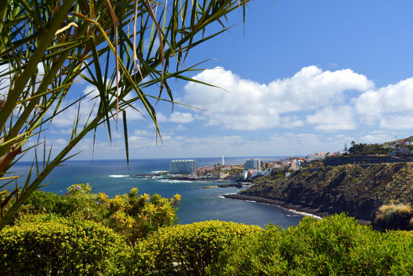 Blick auf Punta del Hidalgo