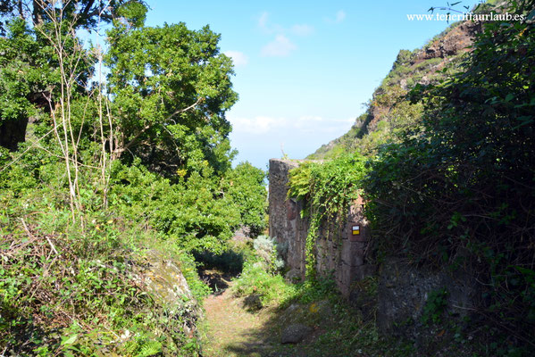 Erjos