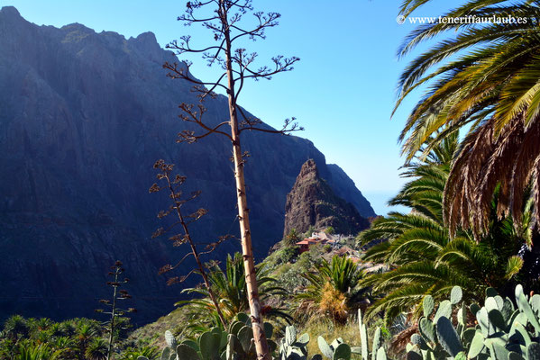 Masca