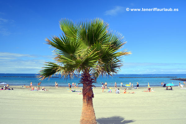 Playa Torviscas im Süden