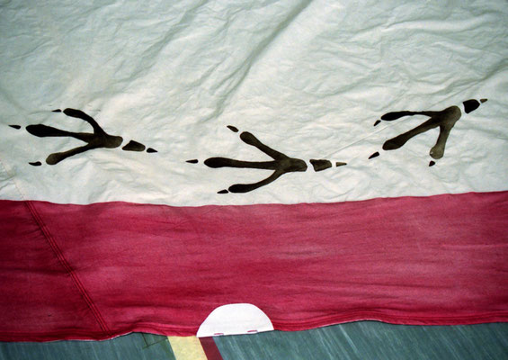 Tierspuren
