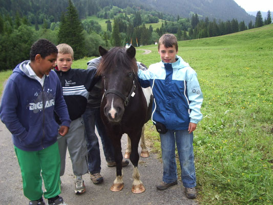 Der wichtige Kontakt mit den Tieren auf der Alp