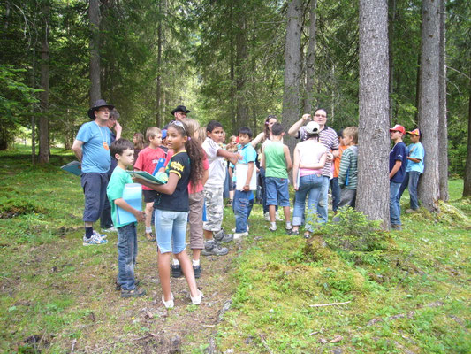 Baumzeremonie im Wald