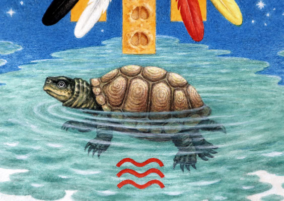 Schildkröten-Clan S = Wasser