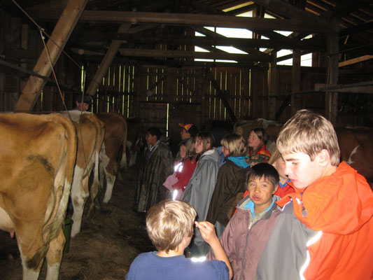 Besuch des Nachbar-Bauern und seiner Tiere
