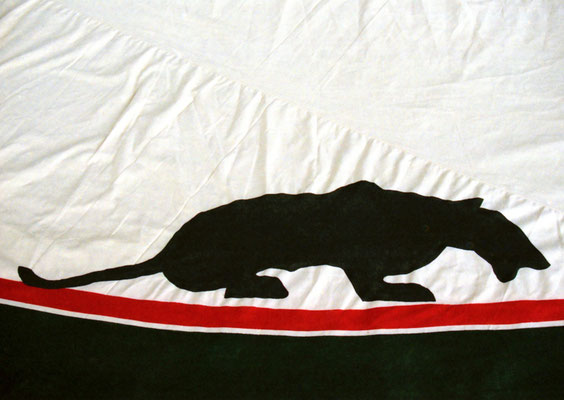 Tiere - Panther