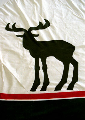 Tiere - Ren