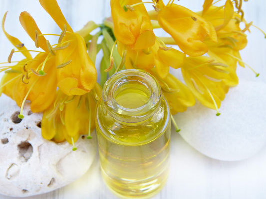 Exclusive artisanal food supply · Natural and Organic Cosmetics · Sales representation in Germany, Europe, and the European Union (EU) · Family-run business · Success · Tradition · Organic lipstick, face cream, massage oil, Extra virgin olive oil