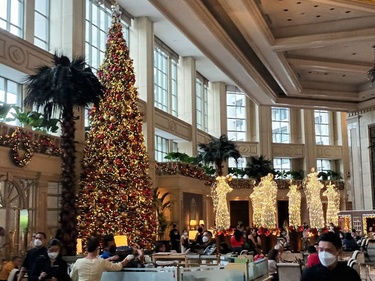Peninsula Christmas Tree