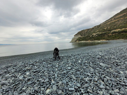 Was für ein schöner Strand