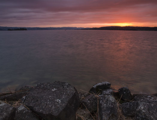 Bild-Nr. P5307554 / Zürichsee