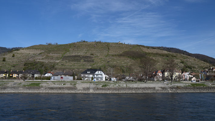 Tausendeimerberg Spitz