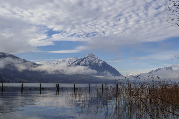 Bild-Nr. PC192341 / Thunersee