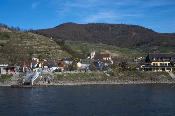 Wanderung im Gebiet des Tausendeimerbergs in Spitz