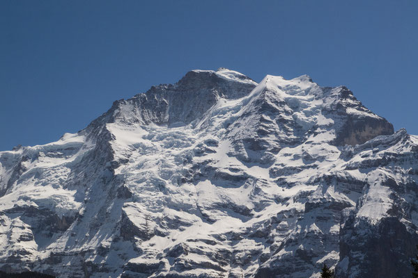 Jungfrau (Ansicht von der Grütschalp aus) / Bild Nr. P4297366-2