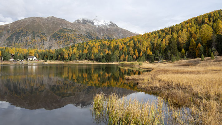Lej da Staz