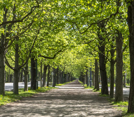 Praterallee