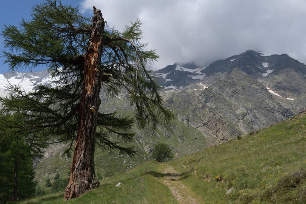 Saas Fee