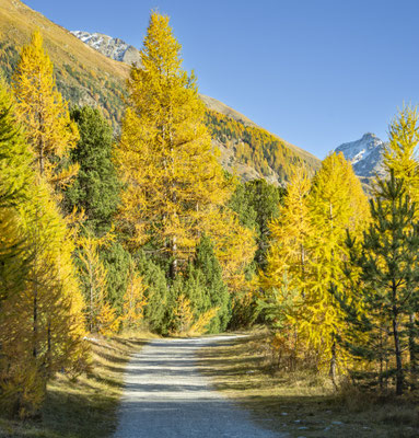 Samedan