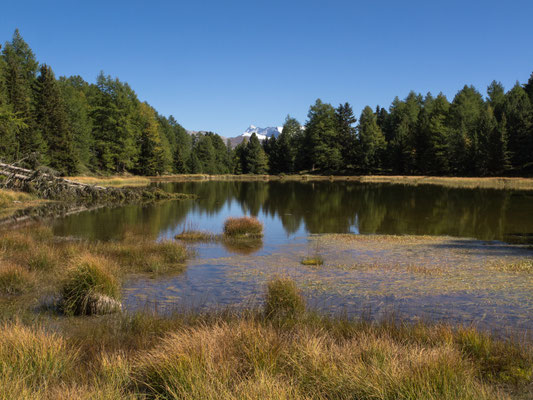 Bild-Nr. P9212184 / Breitmattsee