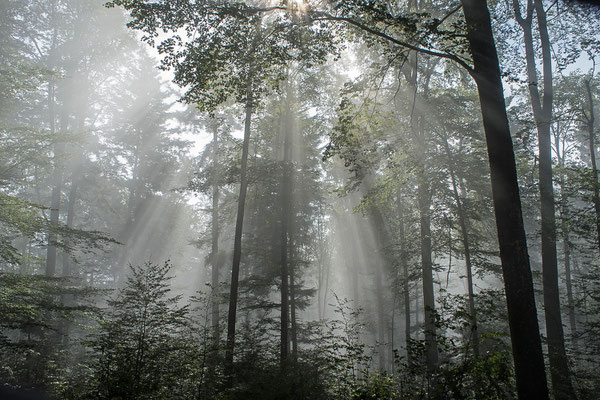 Bild-Nr. DSC04417